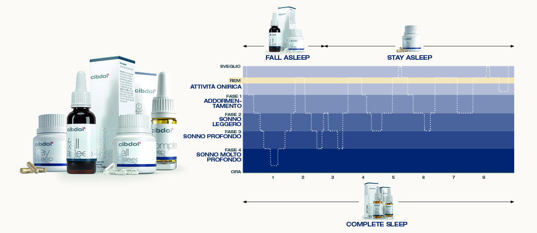 sleep stages infographic