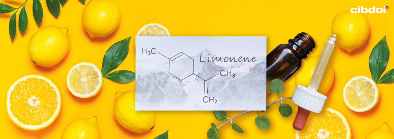 Che Cos'è il Limonene?