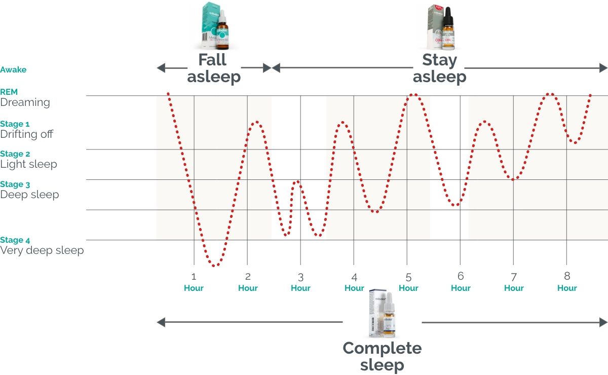 sleep-graph.jpg