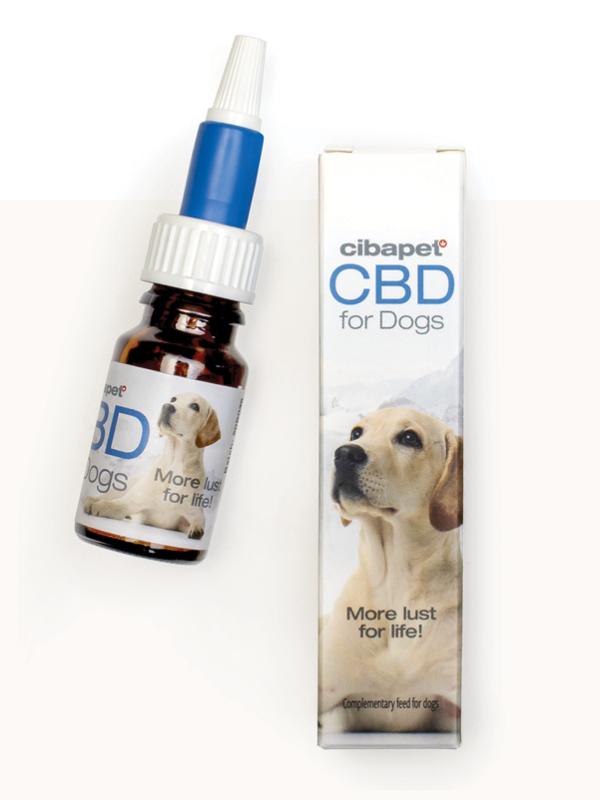 CBD for Dogs