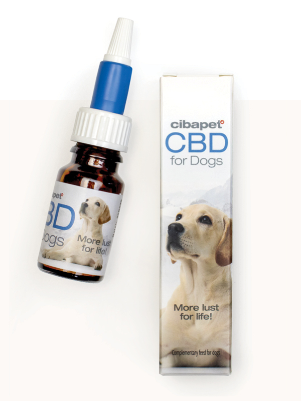 CBD für Hunde