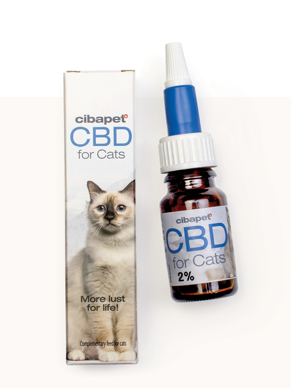 CBD für Katzen