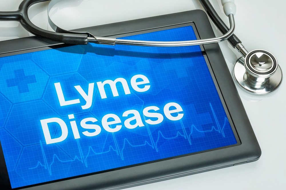 Could CBD Help With Lyme Disease?
