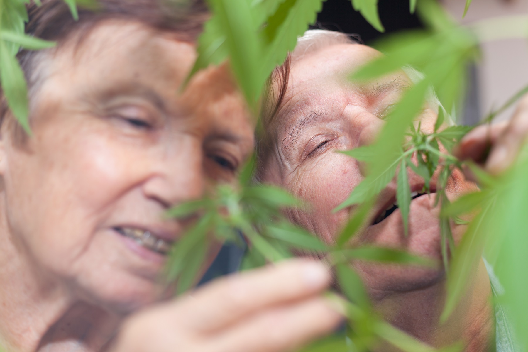 Farmacodinamica: Effetti e Meccanismi dei Cannabinoidi