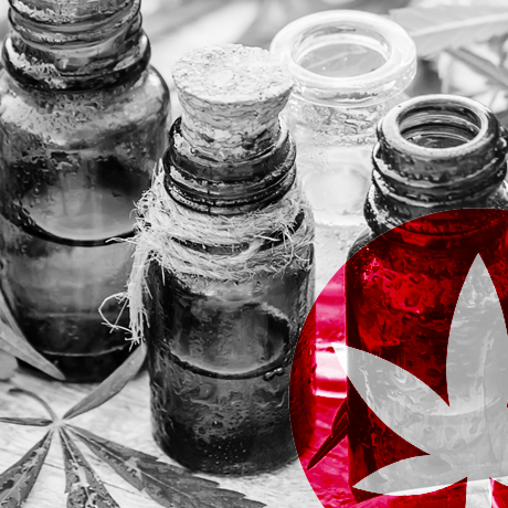 Cannabidiol: Which Characteristics Should Every CBD Oil Have?