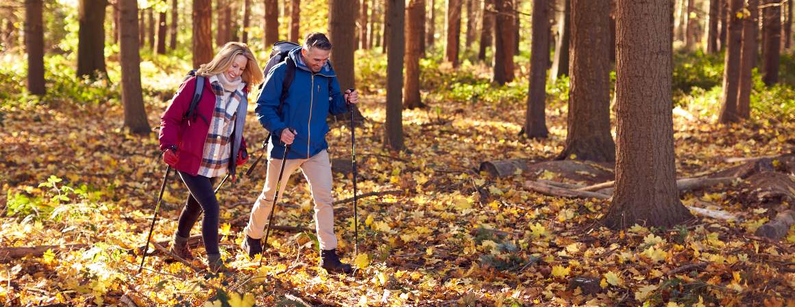 How many calories does 10000 steps burn?