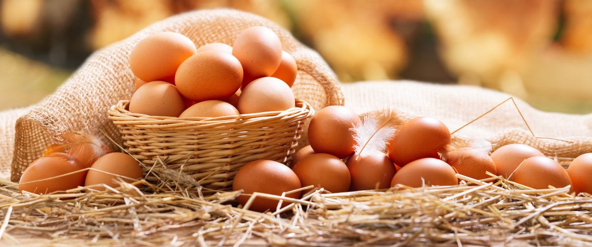 Wie viel Eiweiß steckt in einem Ei?