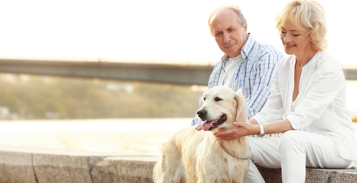 Is CBD good for seniors?