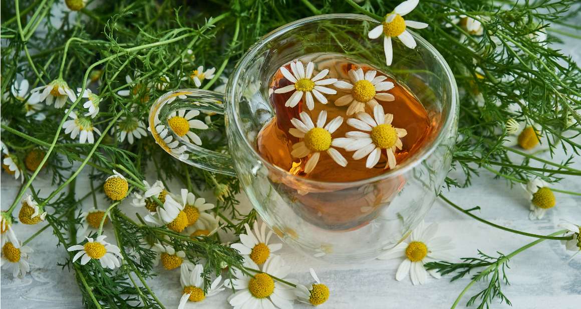 cup-natural-herbal-tea-with-chamomile-flowers-gray.jpg