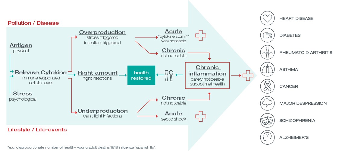 chronic inflammation infographic