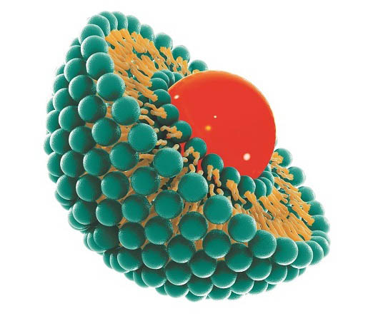 WHAT ARE LIPOSOMES?