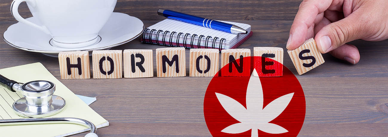 Does CBD Affect Your Hormones?