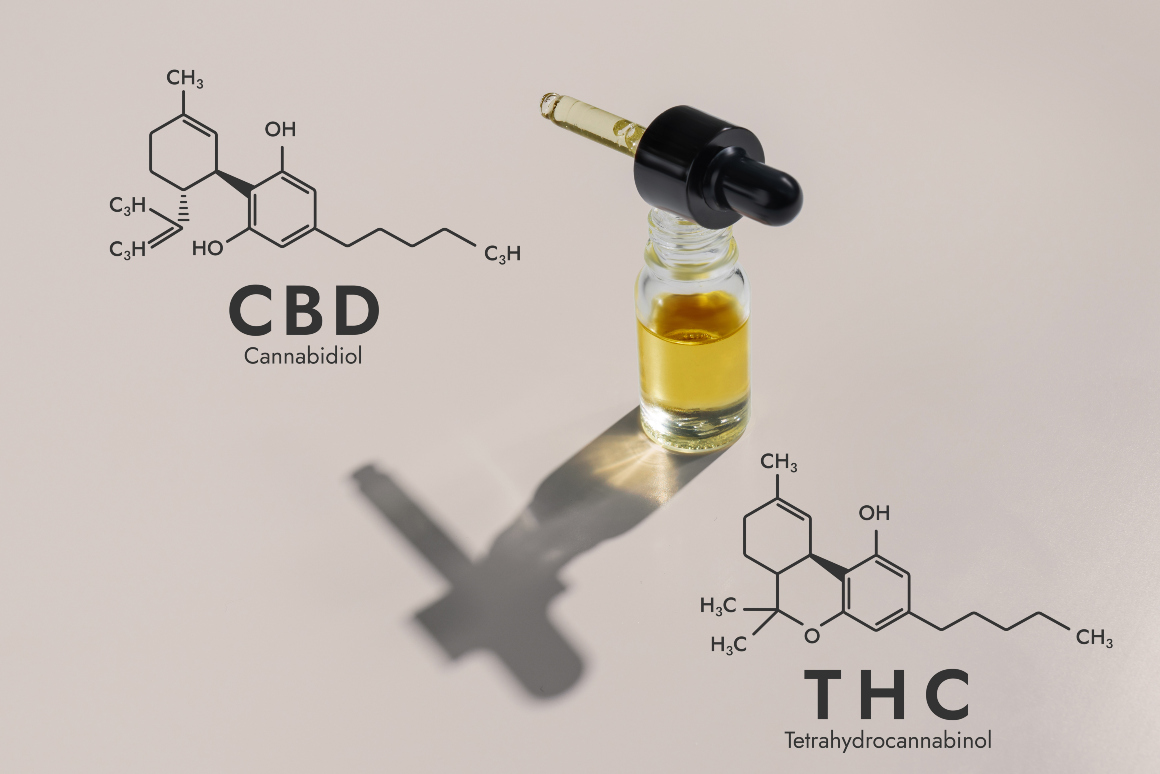 What type of hemp should I use to make CBD oil?