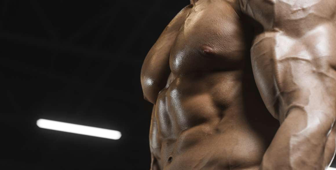 Do cordyceps build muscle?