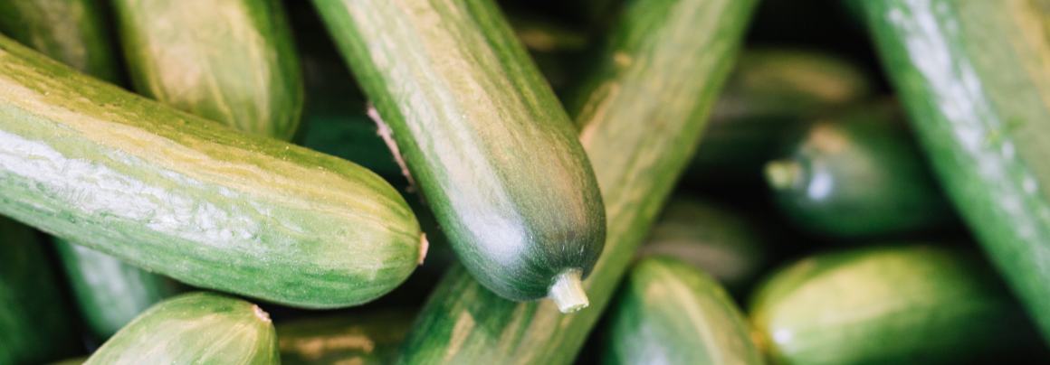 Does Cucumber Contain Omega-3?
